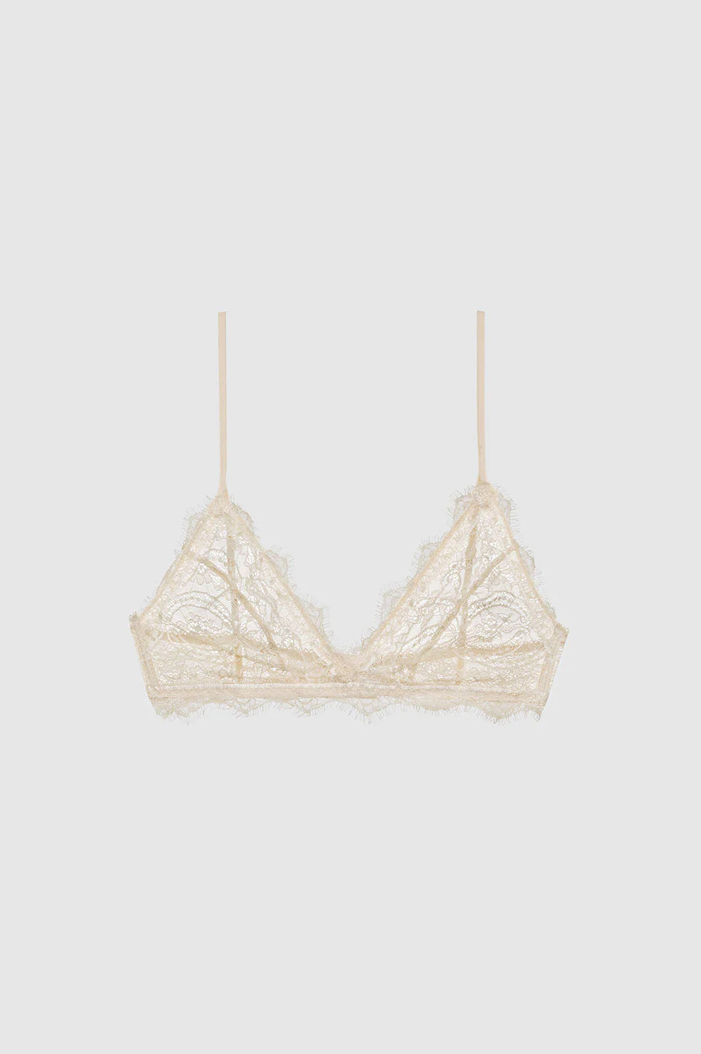 Lace Bra With Trim - Nude