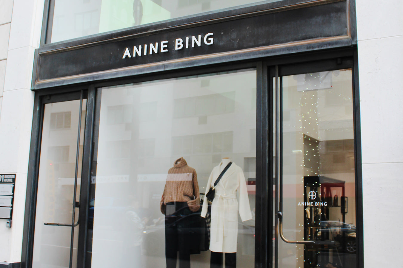 Anine Bing Luna Bag – AshleyCole Boutique