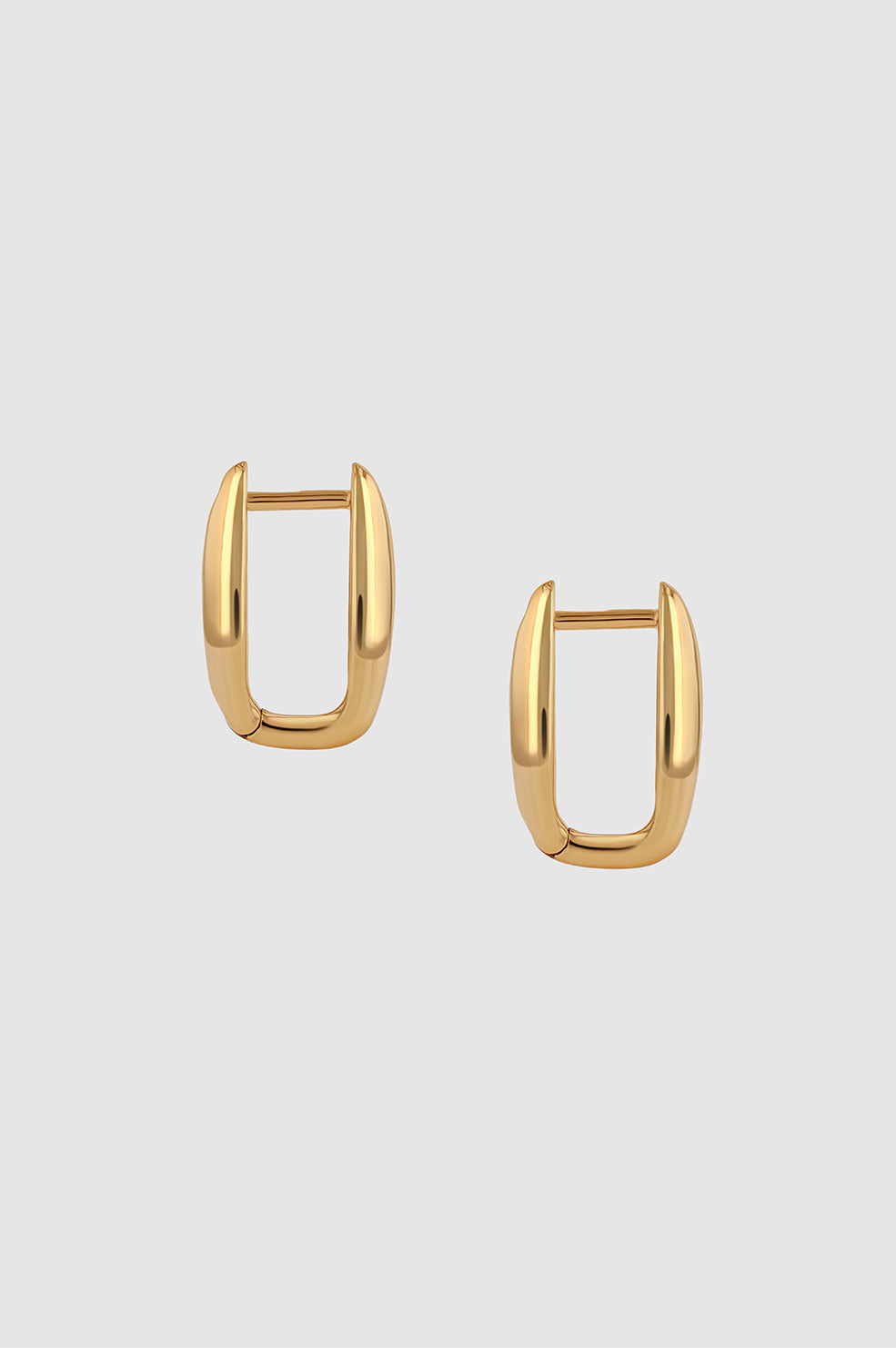 Oval Link Earrings